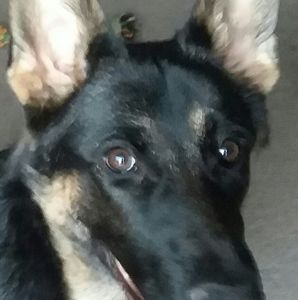 Meet your Posher, Ajia